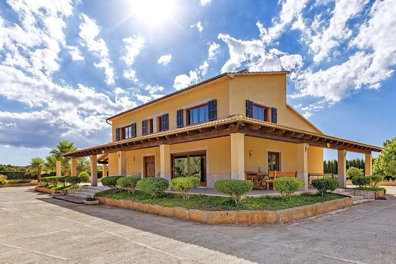 Finca Luna Bella ペトラ スペイン